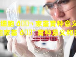 干细胞 🐬 家畜育种意义（干细胞家畜 🐯 育种意义和目的）